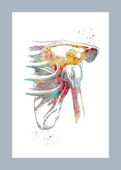 Подобряване на микроциркулацията в ставните и мускулните тъкани